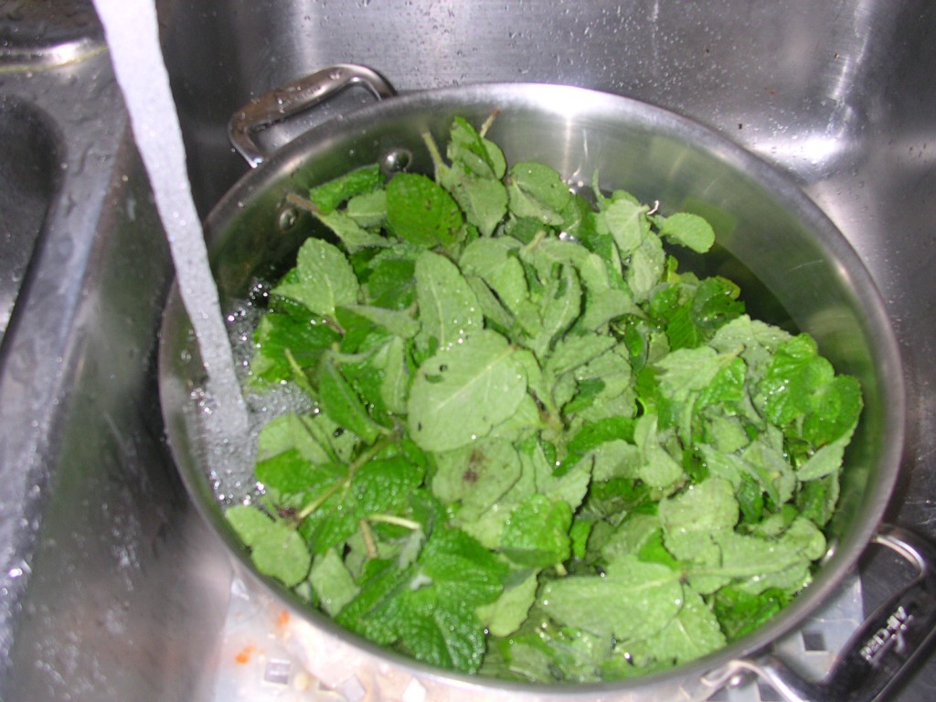 boiling mint leaves in water